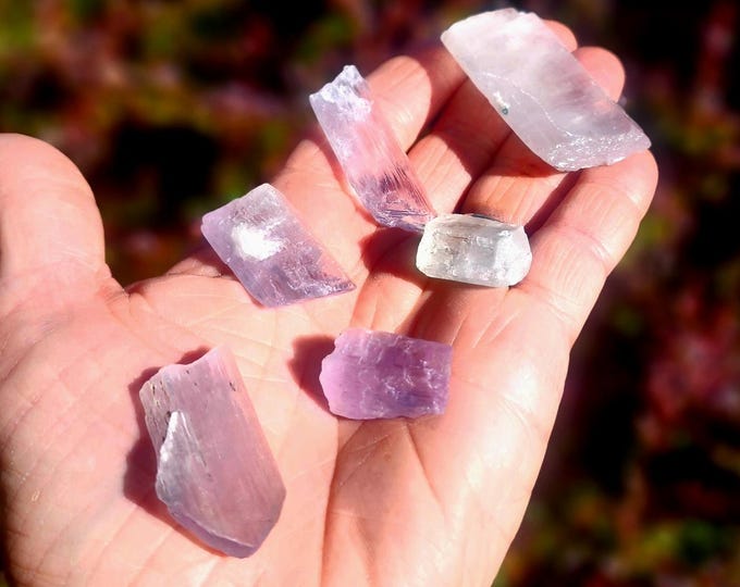 Multi-Colored Kunzite Lot