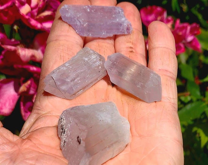 Multi-Colored Kunzite Lot