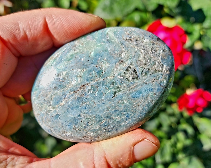 Multicolored Kyanite Palm Stones