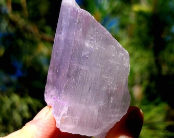 Gemmy Kunzite Pocket Stone: Love & Grief Support, 119 grams