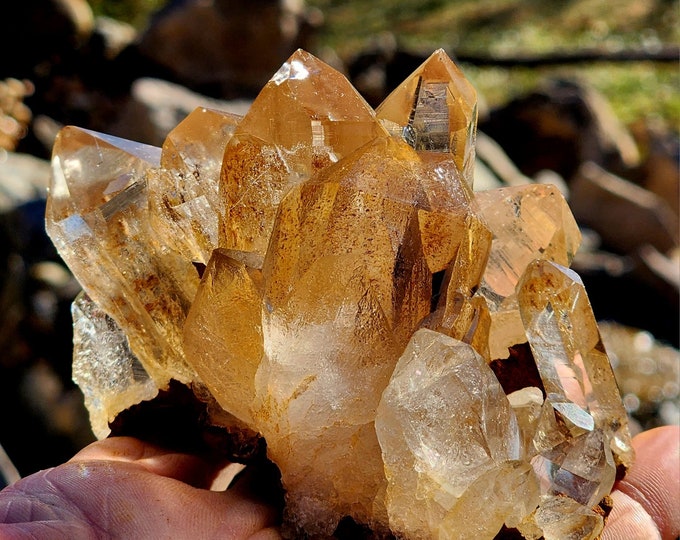 Smoky Himalayan Quartz Cluster