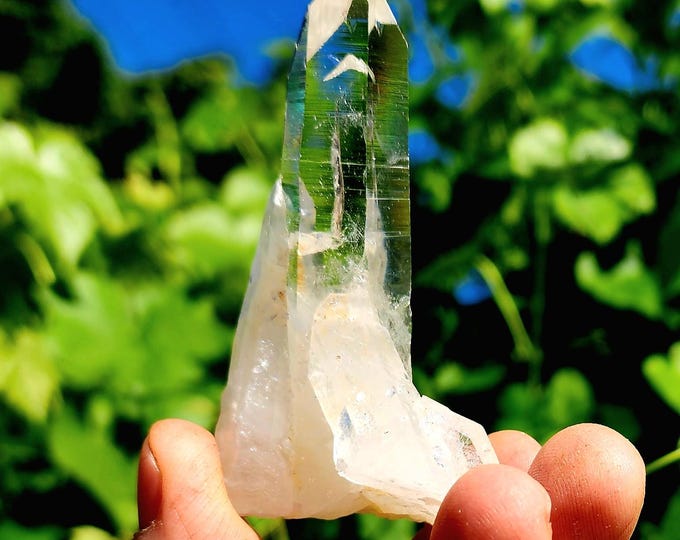 Penas Blancas Lemurian Crystal