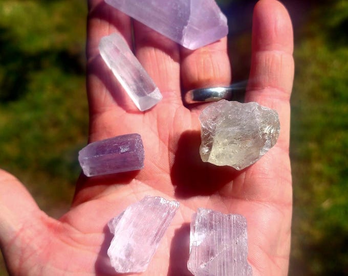 Multi-Colored Kunzite Lot
