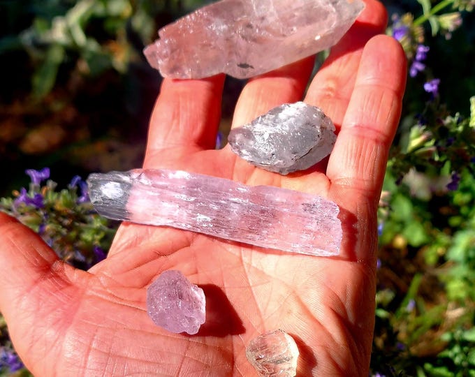Multi-Colored Kunzite Lot