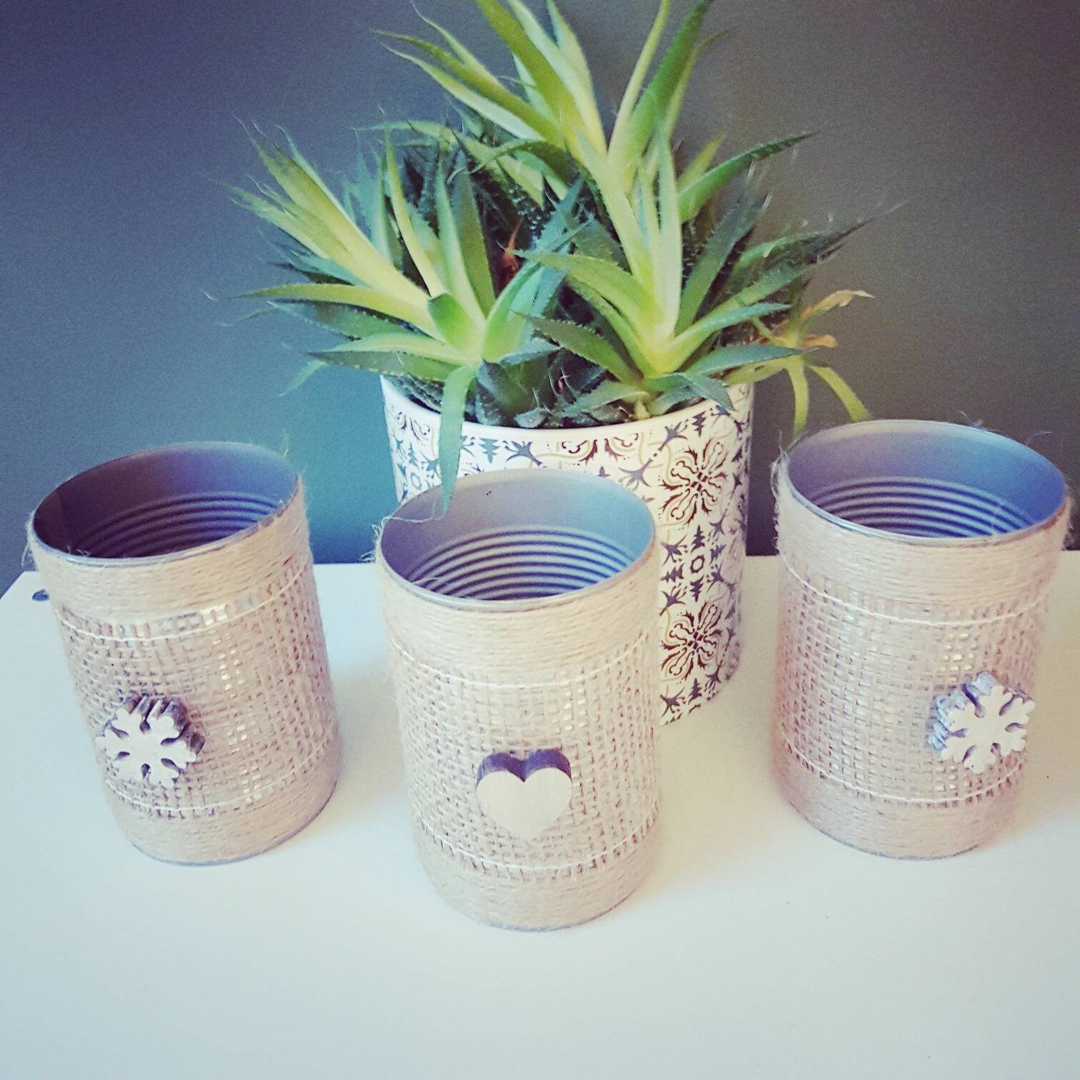 Pots Plantes Fleurs Crayons Ustensiles