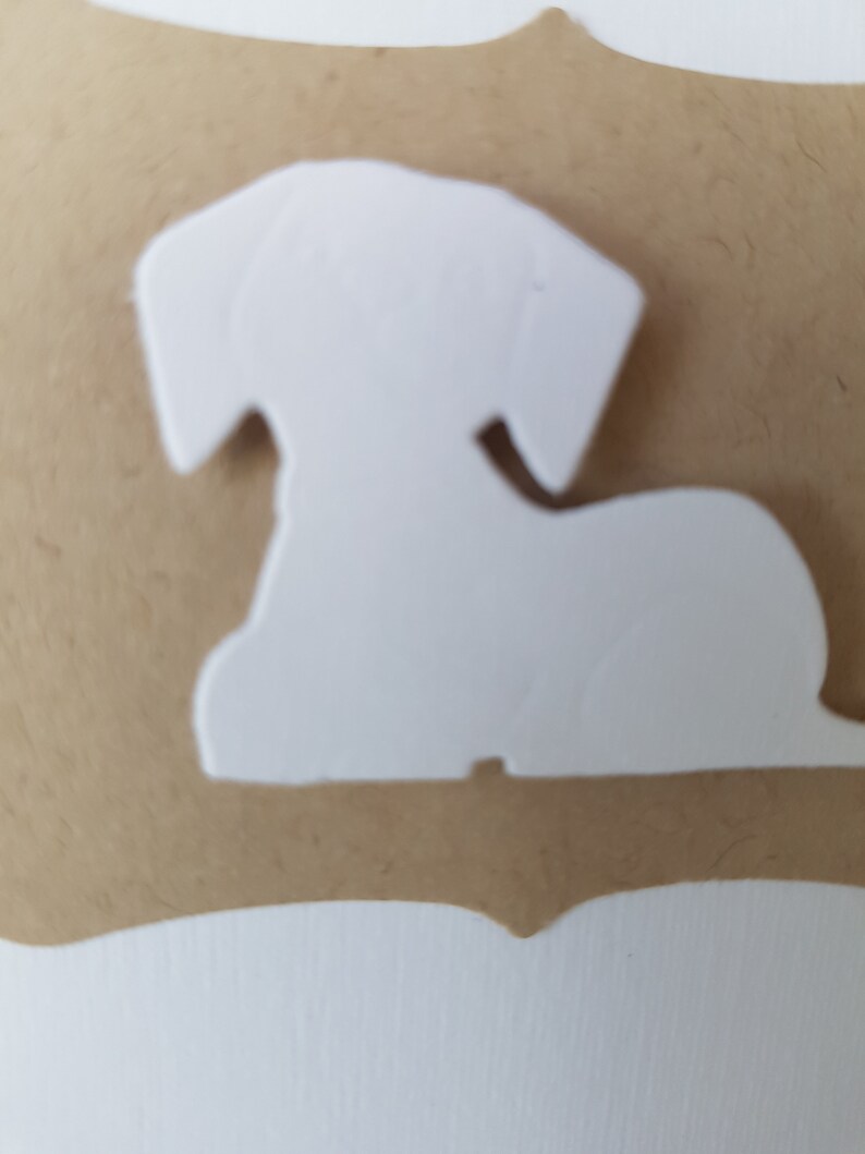 Carte anniversaire chien kraft afbeelding 4