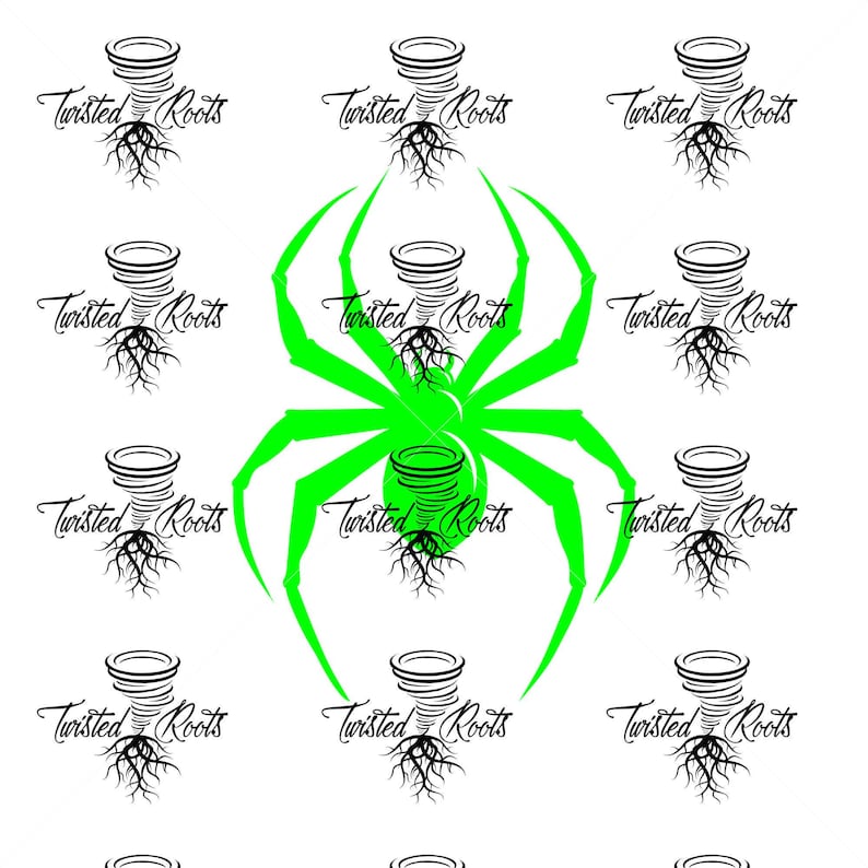 Spider Decal, Spyder, Spyder Ryder, F3, F3S, F3T, F3L, RT image 6