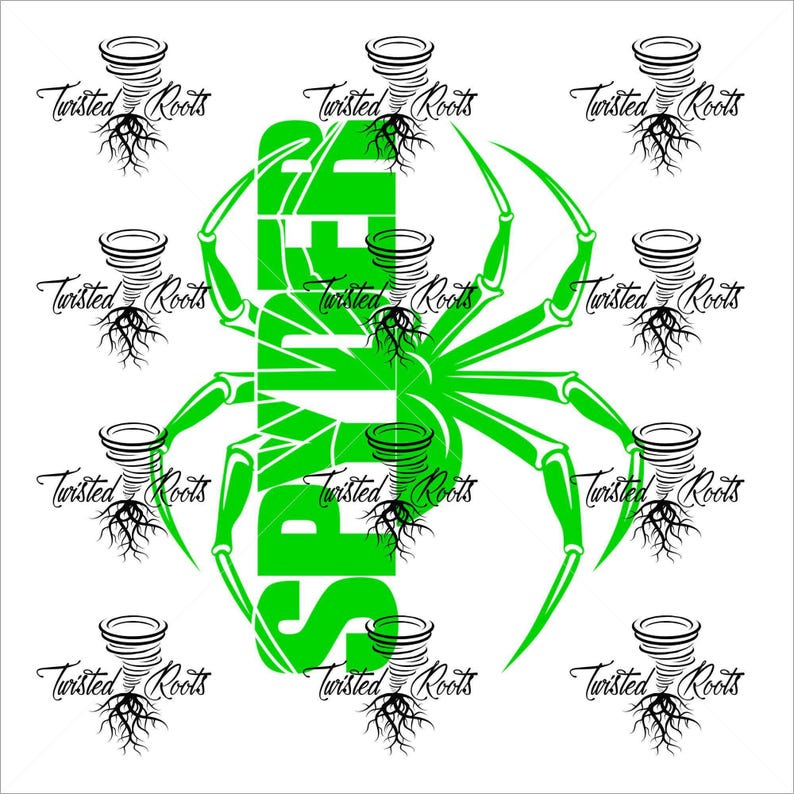 Split Spyder Frunk Decal, Spyder, Spyder Ryder, F3, F3S, F3T, F3L, RT image 7