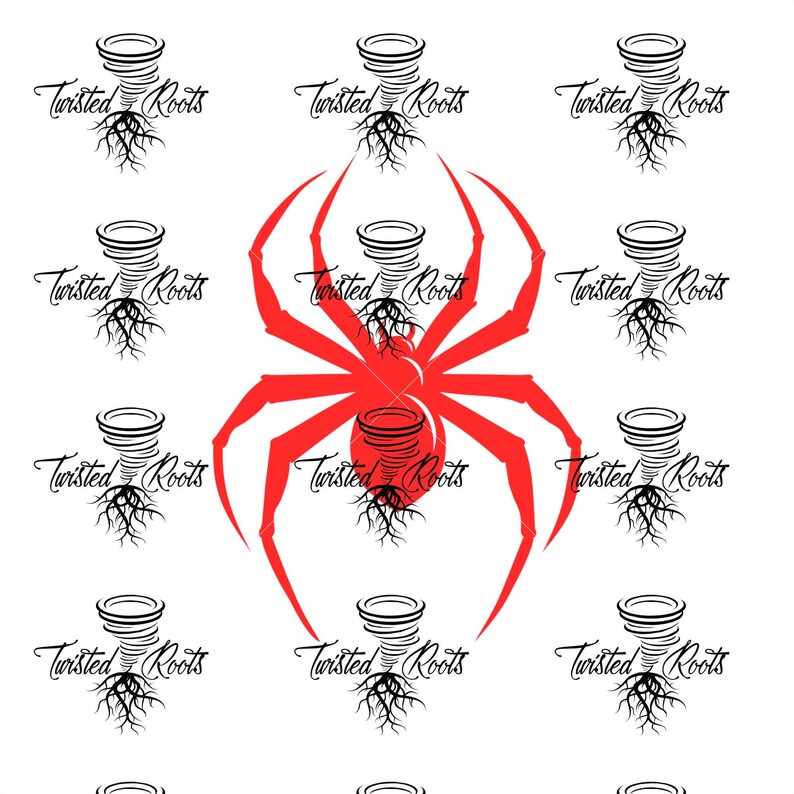 Spider Decal, Spyder, Spyder Ryder, F3, F3S, F3T, F3L, RT image 7
