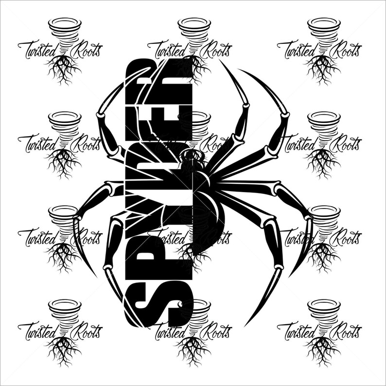 Split Spyder Frunk Decal, Spyder, Spyder Ryder, F3, F3S, F3T, F3L, RT image 6