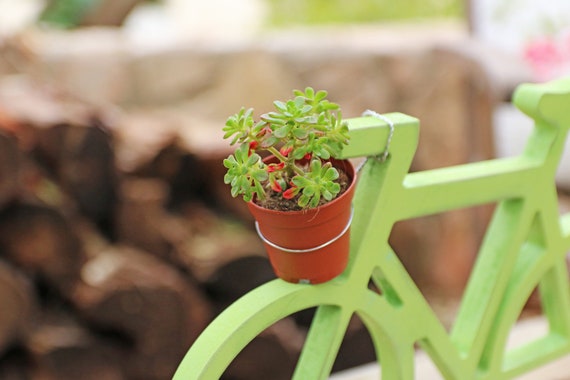 Free Standing Wood Bicycle Bicycle Planter Stand Succulent Etsy