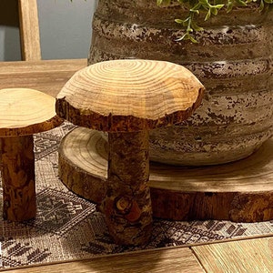 recycled sustainable wooden mushrooms | set of 2 mushrooms | sustainable art from Israel | lawn ornament display | Christmas decor |