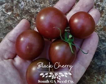 Heirloom Black Cherry Tomato Seeds QTY. 25 (Indeterminate)