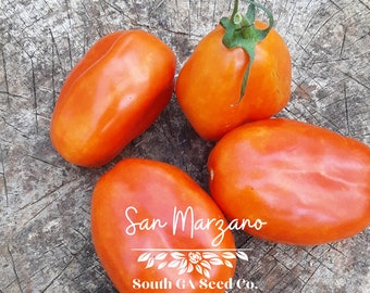 Heirloom San Marzano Tomato Seeds QTY. 25 (Indeterminate)