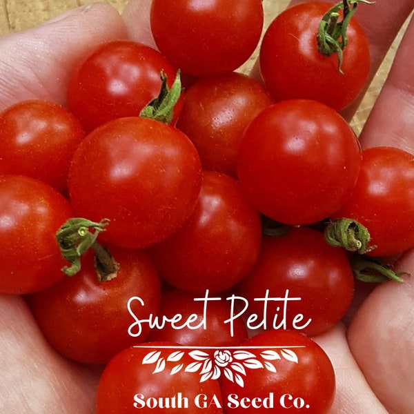 Heirloom Sweet Petite Tomato Seeds QTY. 25 (Indeterminate)