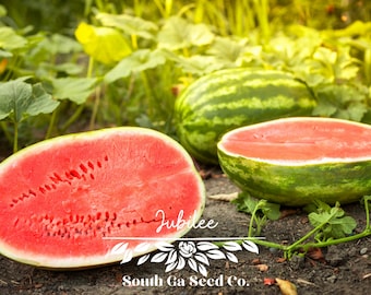 Heirloom Jubilee Watermelon Seeds QTY. 30