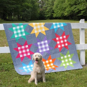 Picnic Stars Quilt Pattern PDF by Jen Daly Quilts