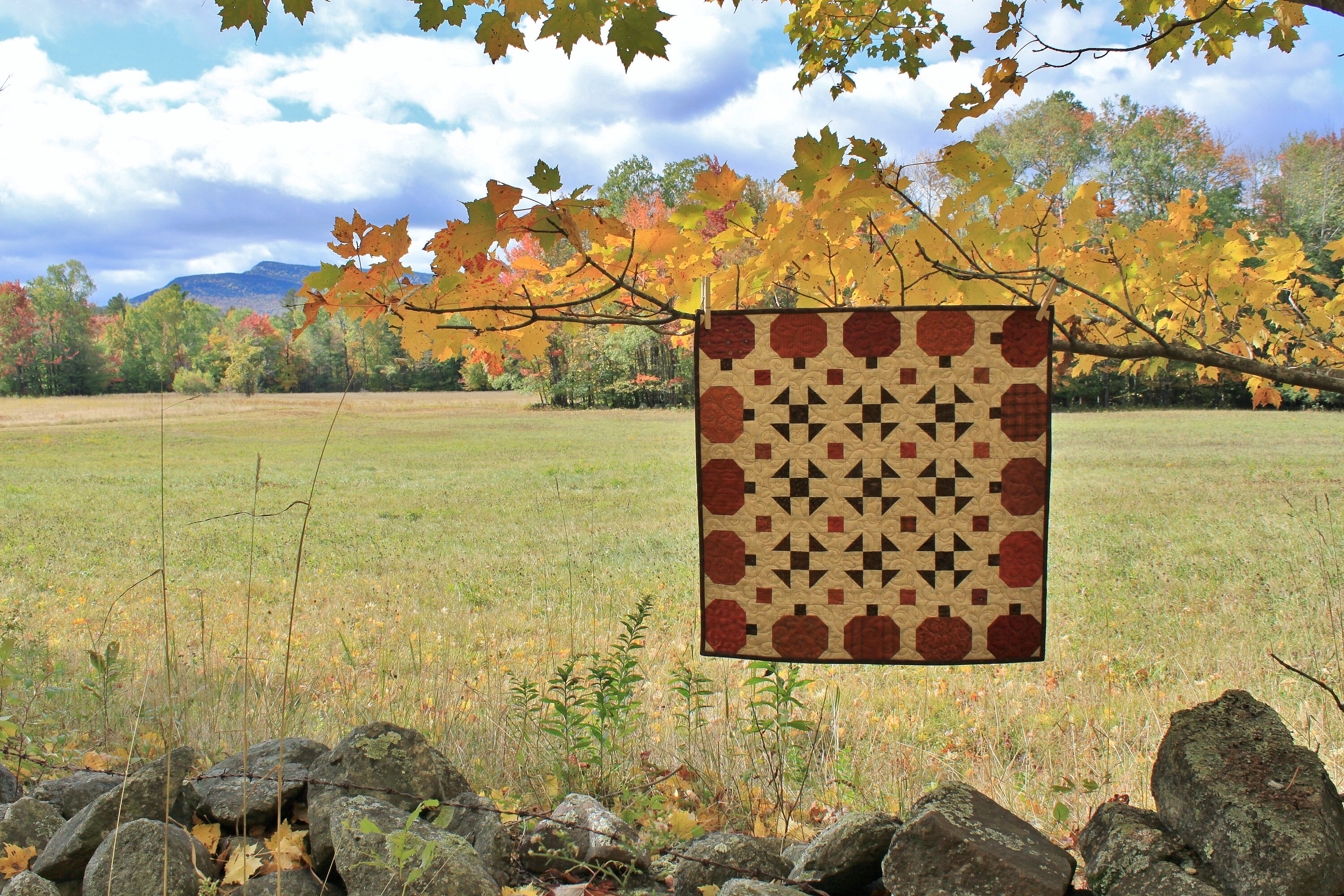 Pumpkin Patch Quilt Pattern PDF by Jen Daly Quilts - Etsy