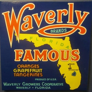 WAVERLY Brands- Famous Florida Citrus Fruit Crate Label - MAP - 1950&#39;s- Original! Not a Reproduction!