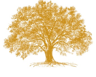 KACHA Growth Tree Rub On Transfers for Furniture || ReDesign with Prima || Gold Foil Furniture Decals || 18 x 24 Inches