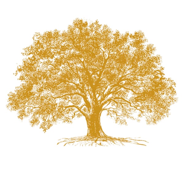 New! Rub On Transfers for Furniture KACHA GROWTH Tree || ReDesign with Prima || Gold Foil Furniture Decals || 18 x 24 Inches