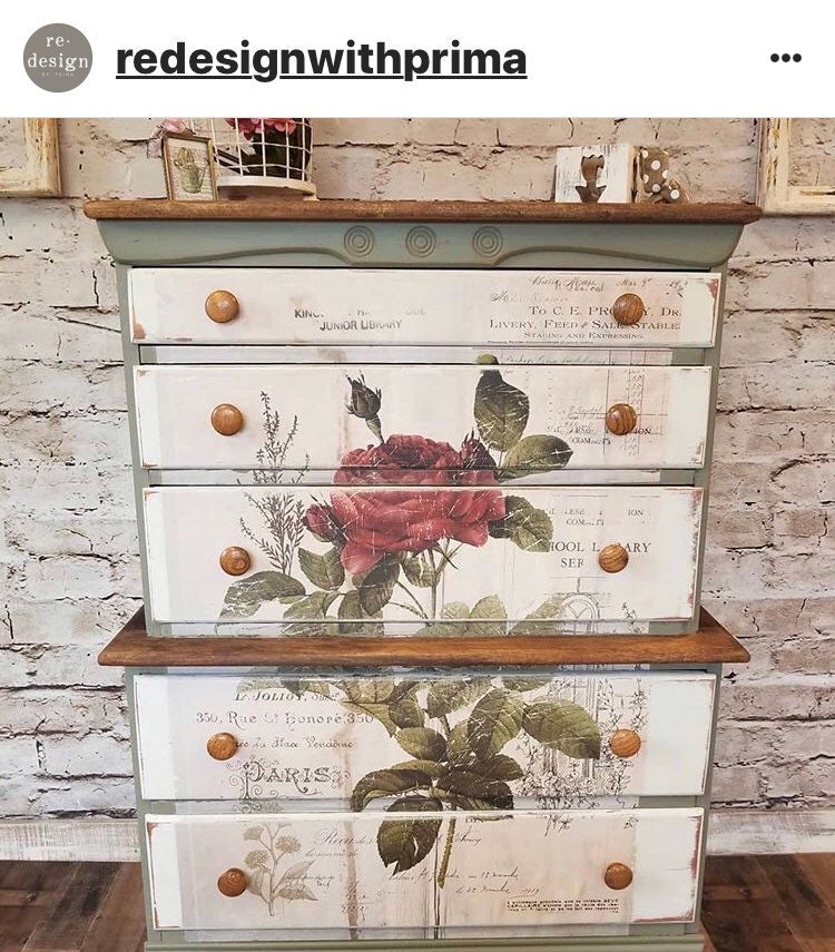 Furniture Decals BOTANICAL ROSE by Redesign With Prima Etsy