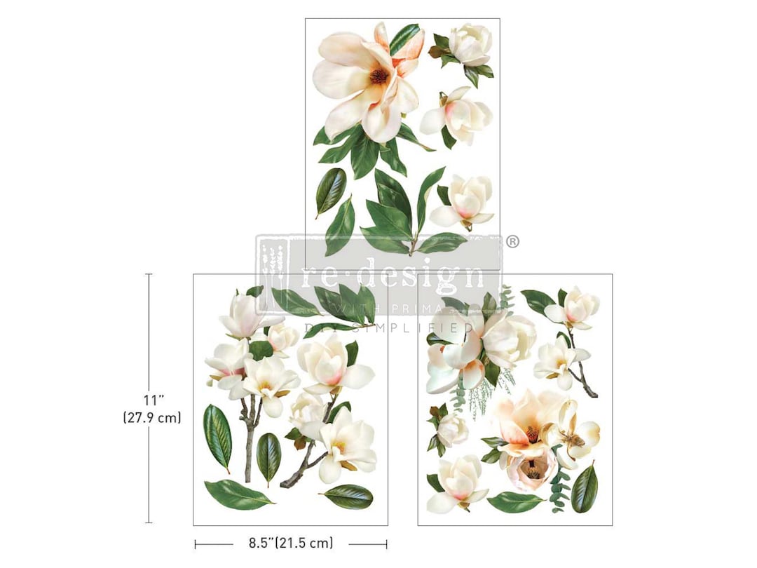 La Gran Magnolia Rub on Transfers for Furniture Redesign With Prima
