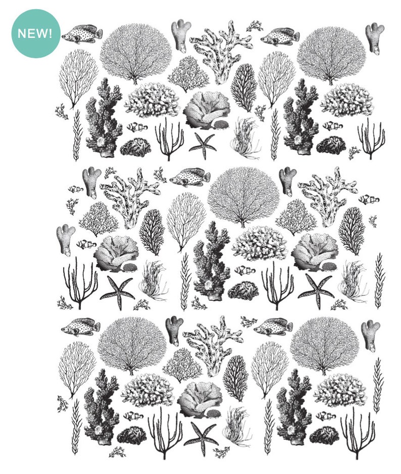 Rub on Furniture Transfers COASTAL SEA LIFE Redesign With Etsy