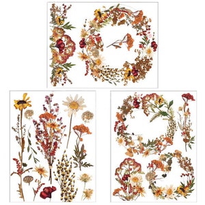 Dried Wildflowers Rub On Furniture Transfer || ReDesign with Prima || Includes 3 Sheets (3 Unique Designs) ~ Size: Middy