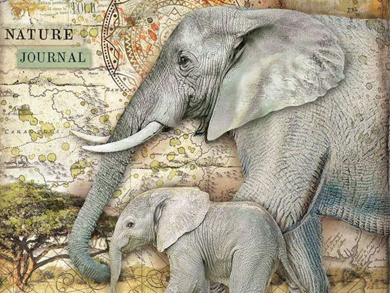 A4 Decoupage Rice Paper ELEPHANT Savannah Stamperia Etsy