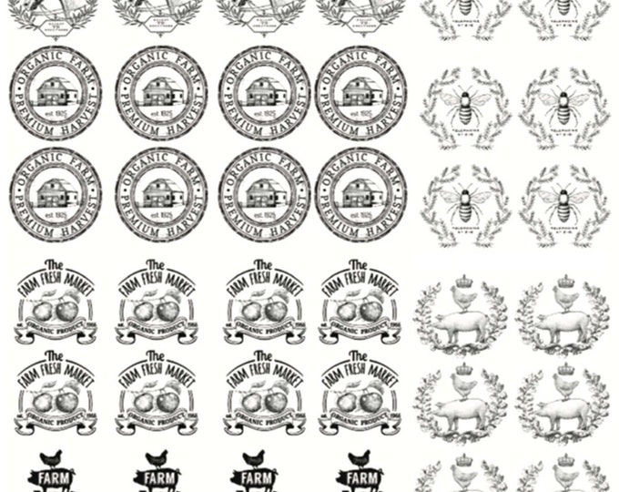 Drawer Knob Rub on Transfers FARM FRESH MARKET Redesign With Prima