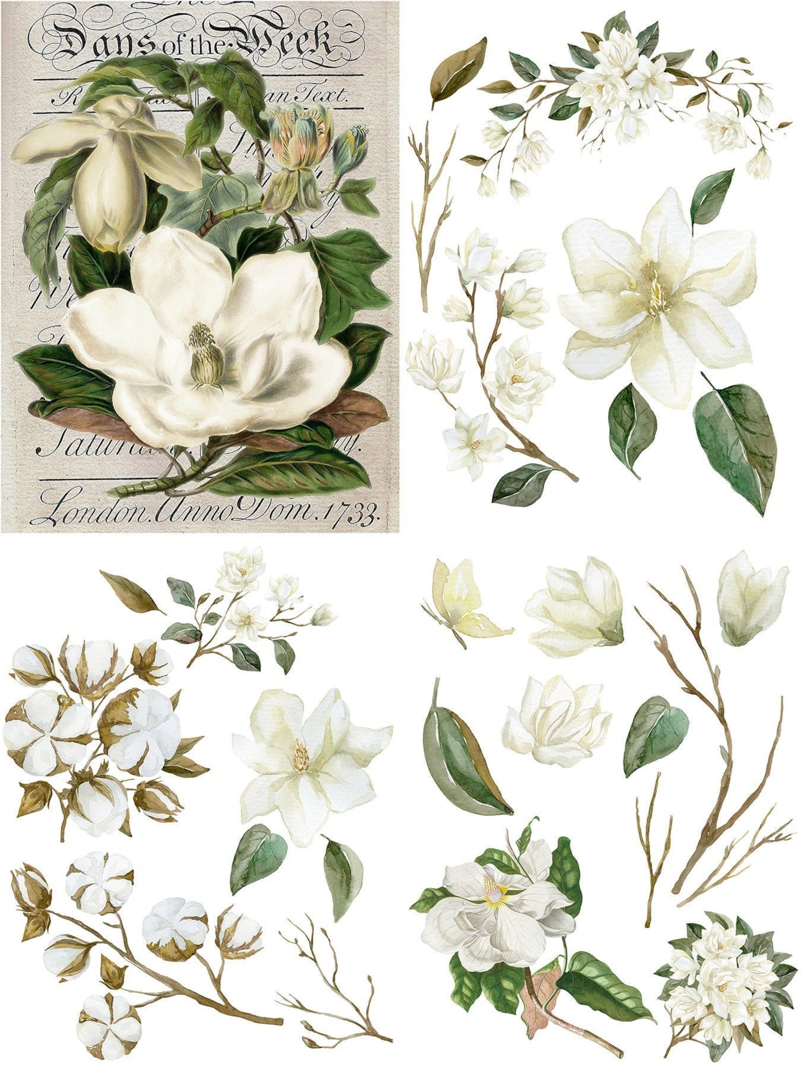 Furniture Transfer MAGNOLIA GARDEN Belles and Whistles Etsy