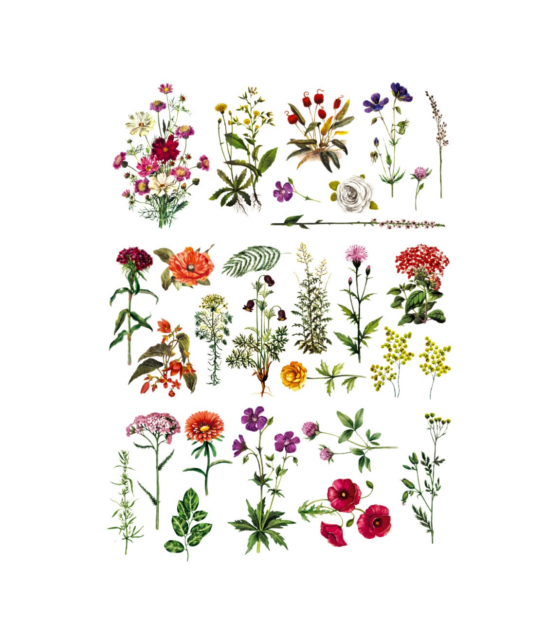 Furniture Decals FLORAL COLLECTION by Redesign With Prima Etsy UK