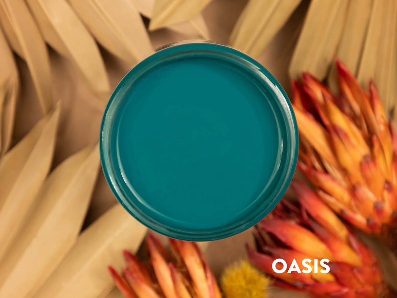 Satin Finish Paint SILK Paint 10 Desert Colors Premium Etsy