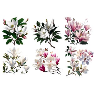 Small Furniture Transfers Magnolia Luxe - Dadarkar Art - Decor Crafting Decals - Rub On Transfers - 6&quot; x 12&quot; (3 Sheets) - Floral Magnolias