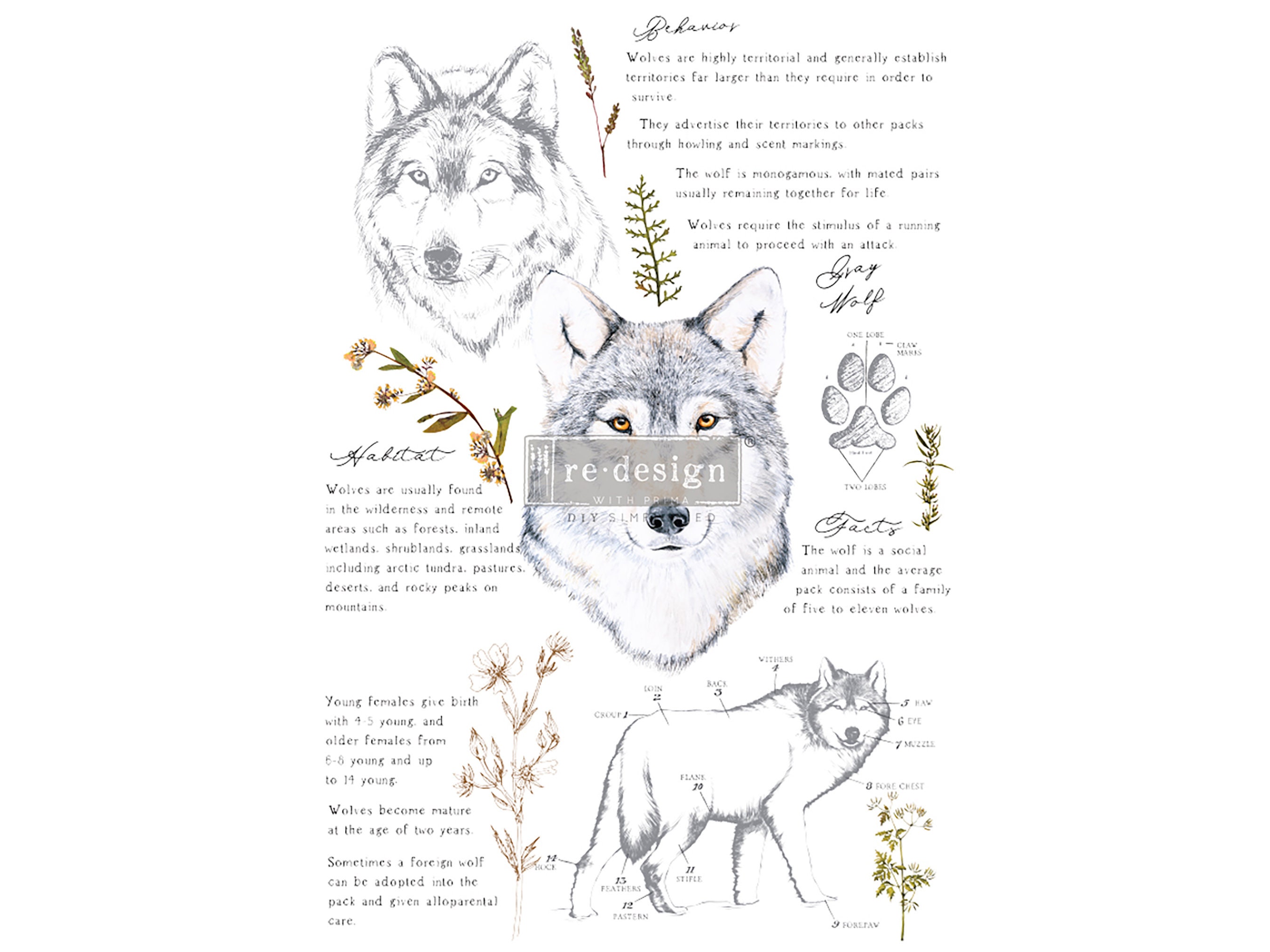 Furniture Decal GRAY WOLF ReDesign with Prima Furniture Etsy