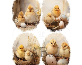 May include: Watercolor illustrations of fluffy yellow chicks and eggs in oval frames. The chicks are depicted in various poses, some in nests, others with eggs. The artwork has a soft, pastel color palette, evoking a springtime theme.