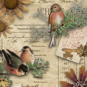 A3 Rice Decoupage Paper for Furniture AUTUMN BIRDS || Decoupage Queen || Printed in Italy