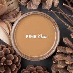 May include: A glass jar filled with a brown paint labeled "PINE Cone". The jar is surrounded by pine cones.