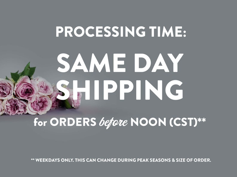 Drawer Knob Rubon Transfers FRENCH MAISON Redesign With Etsy