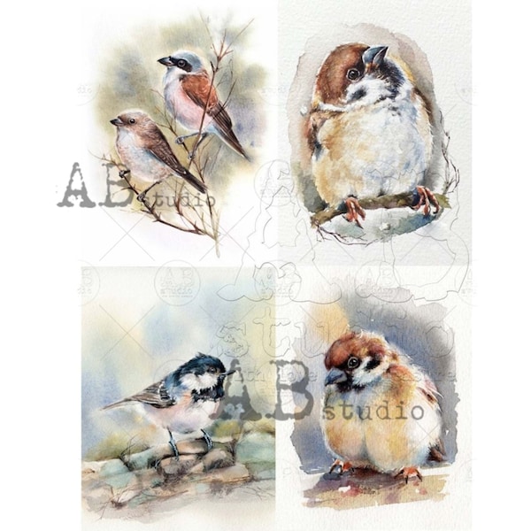 Decoupage Paper Watercolor Birds || AB Studio || A4 Rice Paper for Decoupage for Crafting Scrapbooking Journaling