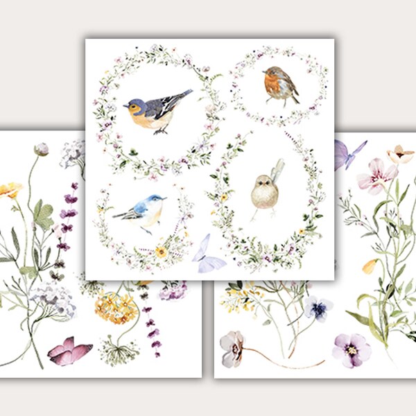 Postal Birds Rub on Transfer Etsy