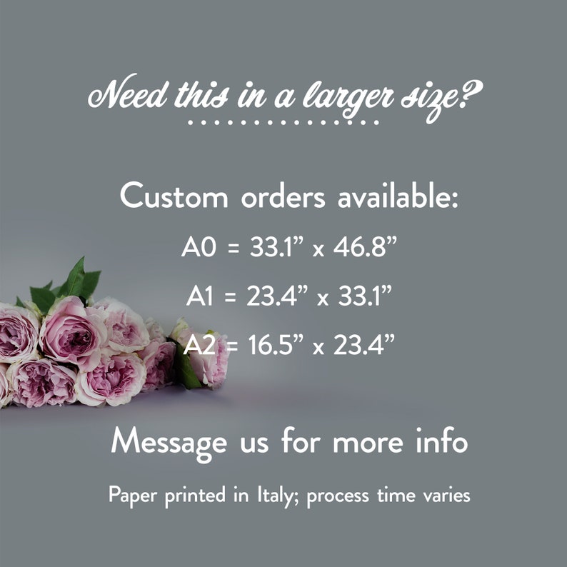 A grey background with a bouquet of roses. White text is shown that reads: Need this in a larger size? Custom orders available:A0 = 33.1 x 46.8, A1 = 23.4 x 33.1, A2 = 16.5 x 23.4. Message us for more info. Paper printed in Italy; process time varies
