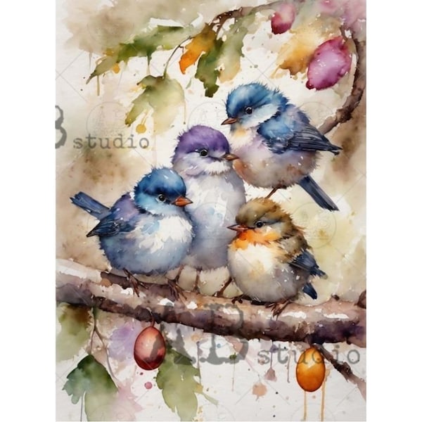 Decoupage Watercolor Birds on a Branch || AB Studio || A4 Rice Paper for Decoupage