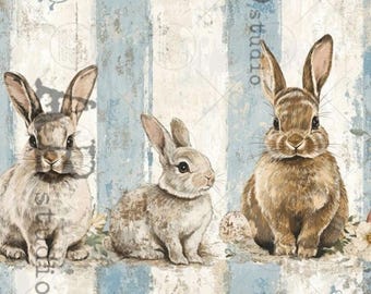 May include: Three watercolor-style rabbits sit against a backdrop of blue and white vertical stripes. The rabbits vary in shades of brown and gray, with long ears and detailed fur. The background has a distressed, vintage look, with the word "studio" visible.