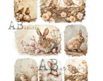 May include: A collage of vintage-style illustrations featuring birds, bunnies, eggs, and floral elements. The artwork has a soft, muted color palette with a focus on pastel tones. The images are framed with a distressed, aged effect, evoking a sense of nostalgia.
