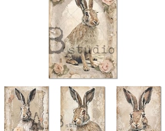 May include: A set of four vintage-style art prints featuring detailed illustrations of hares. The prints showcase the hares in various poses, surrounded by soft, muted roses. The prints have a distressed, aged appearance, with the word "studio" visible on the main print.