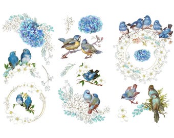 Hydrangea Bliss Rub-On Furniture Transfers | Floral Bird Decor (3 Sheets)