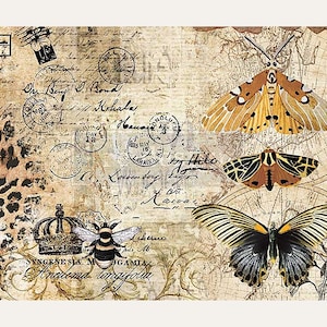 2 Sheets Italy Rice Paper Decoupage Vintage Butterfly Butterflies Ephemera  Collage RCP-AN-122 X2 