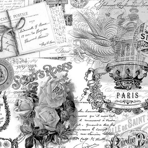 Dixie Belle Transfer Etsy